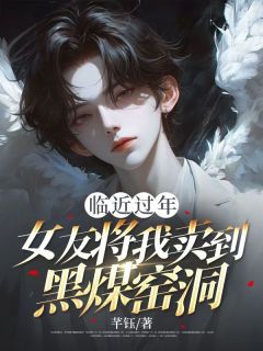 精选好书《临近过年，女友将我卖到黑煤窑洞》无删减版全文在线