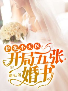 小说《护花小天医：开局五张婚书》叶凡楚梦瑶全文免费阅读