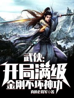 陈凡王金刚主角的小说完结版《陈凡穿越武侠世界》全集