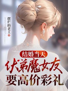 主人公张伟于珊珊小说结婚当天，伏弟魔女友要高价彩礼在线全文阅读