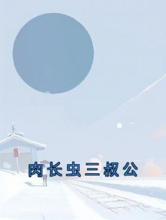 金宝三叔公完整版《肉长虫三叔公》全文最新阅读