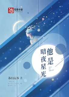 他是暗夜星光林向晚霍廷深精彩章节在线阅读