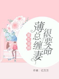 《情深尽头是悲欢》小说精彩章节免费试读（主角洛梵恩陆盛爵）