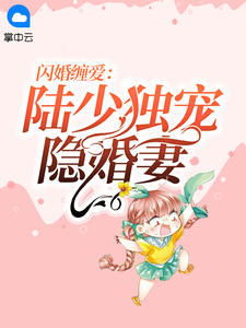 《闪婚缠爱：陆少独宠隐婚妻》小说大结局精彩阅读 苏晚晚陆言深小说全文